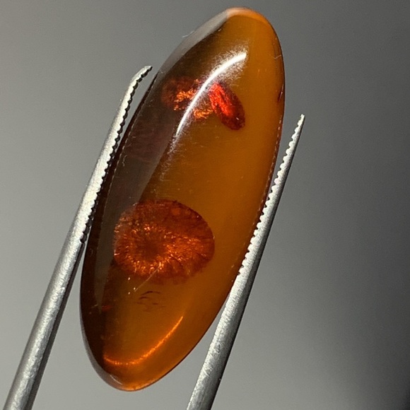 Amber 4.63 Cts Natural Orange Red Color Baltic Gemstone Cabochon for Jewelry - Picture 9 of 17